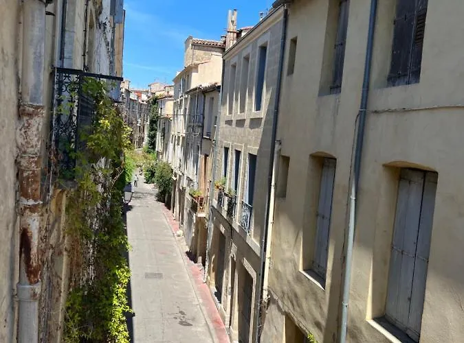 Au Cœur De L’écusson Montpellier