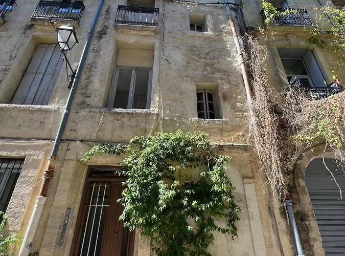 Au Cœur De L’écusson Montpellier