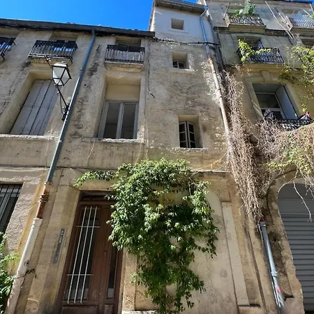 Au Cœur De L’écusson Montpellier